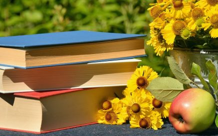 Pile of books-apple-yellow flowers on table in the sun