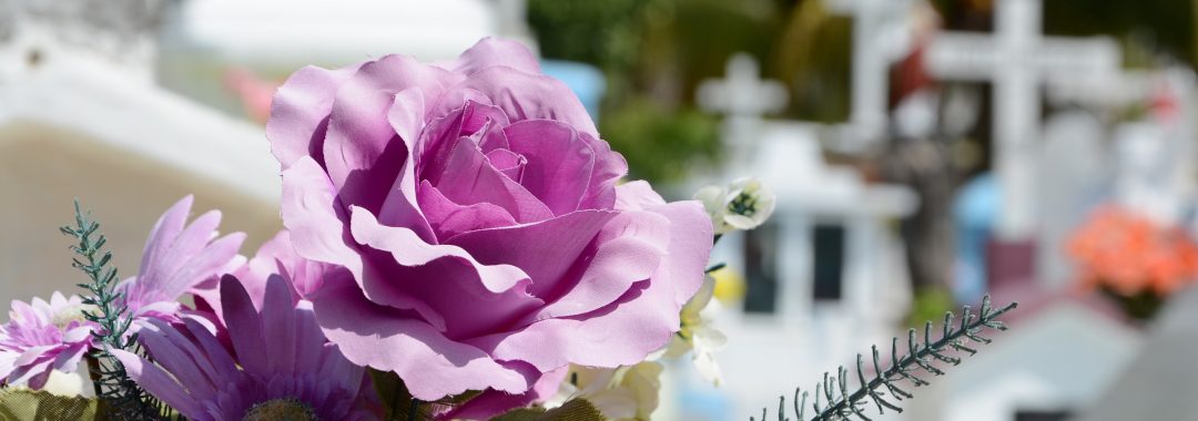 Fuzzy photo of cemetery with clear image of purple flowers in foreground