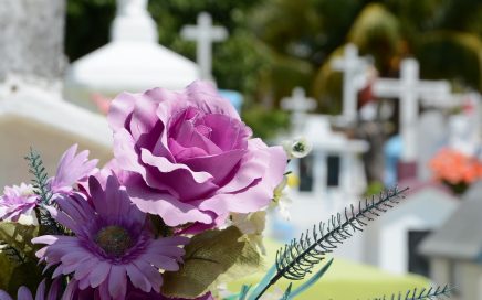 Fuzzy photo of cemetery with clear image of purple flowers in foreground
